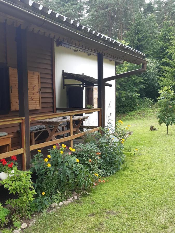 고르즈노 Lesna Polana 빌라 외부 사진